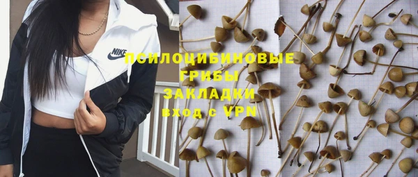 Альфа ПВП Алзамай
